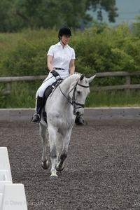 ISIS Dressage Challenge 2008